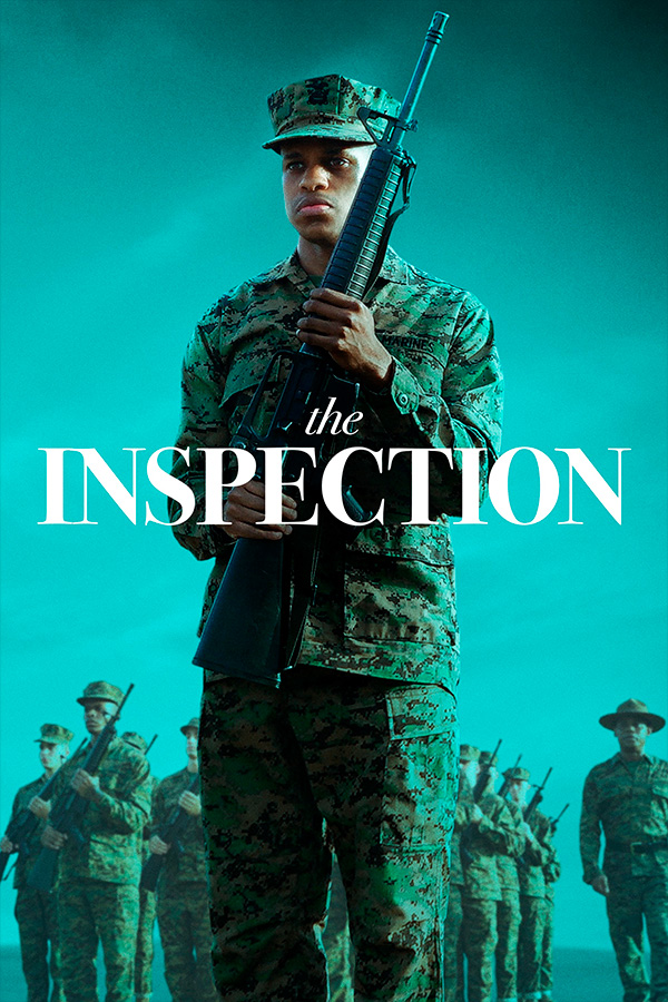 The Inspection